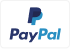 Paypal Icon
