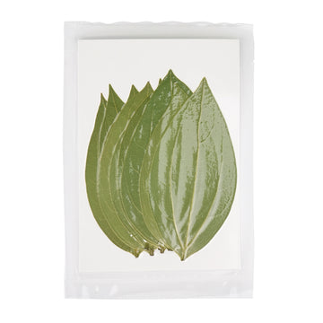 laserpecker cinnamon leaf for engraving slide picture update
