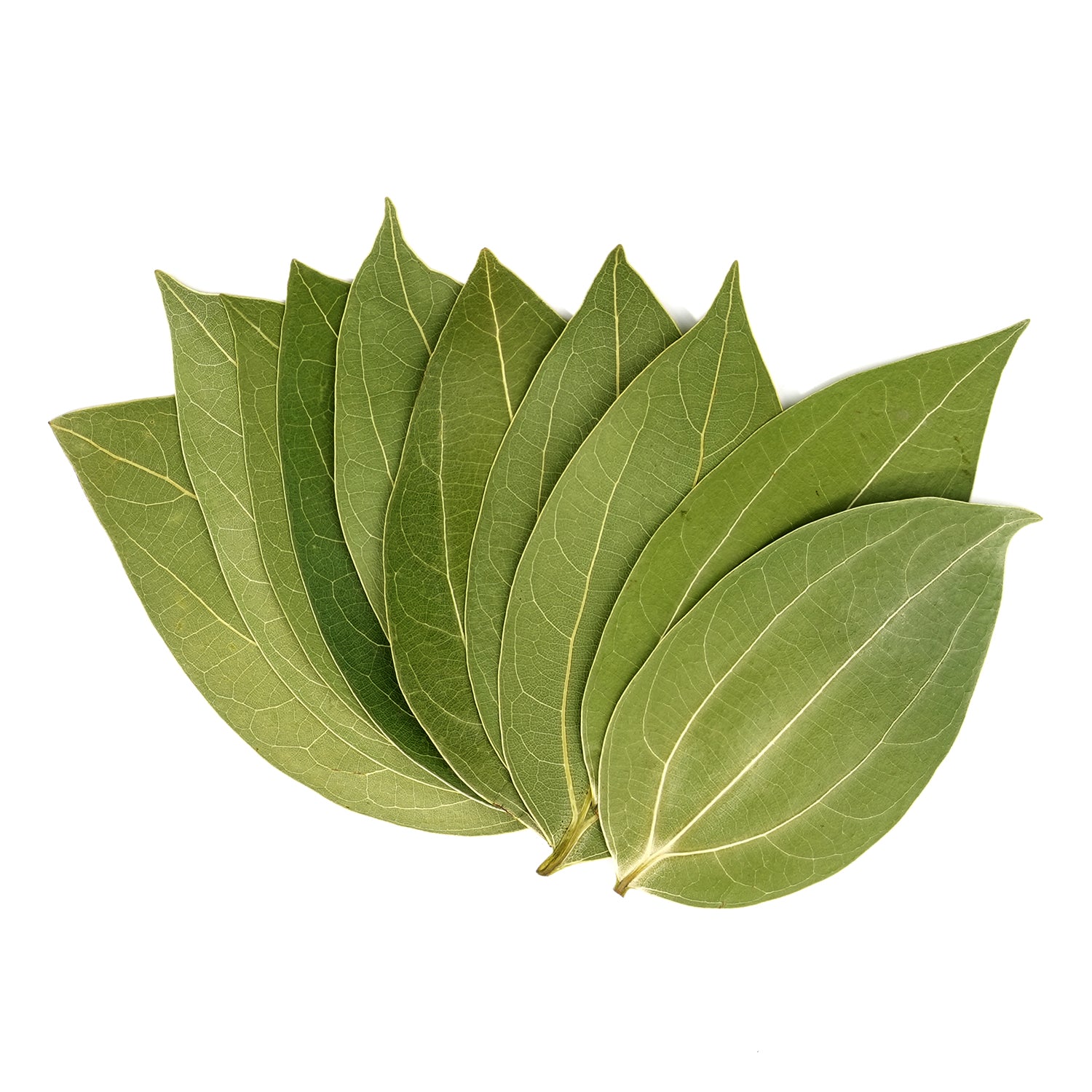cinnamon leaf