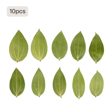 10 pack natural cinnamon leaf blanks for laser engraving rustic christmas ornaments potpourri diy holiday craft supplies.