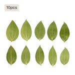 10 pack natural cinnamon leaf blanks for laser engraving rustic christmas ornaments potpourri diy holiday craft supplies.
