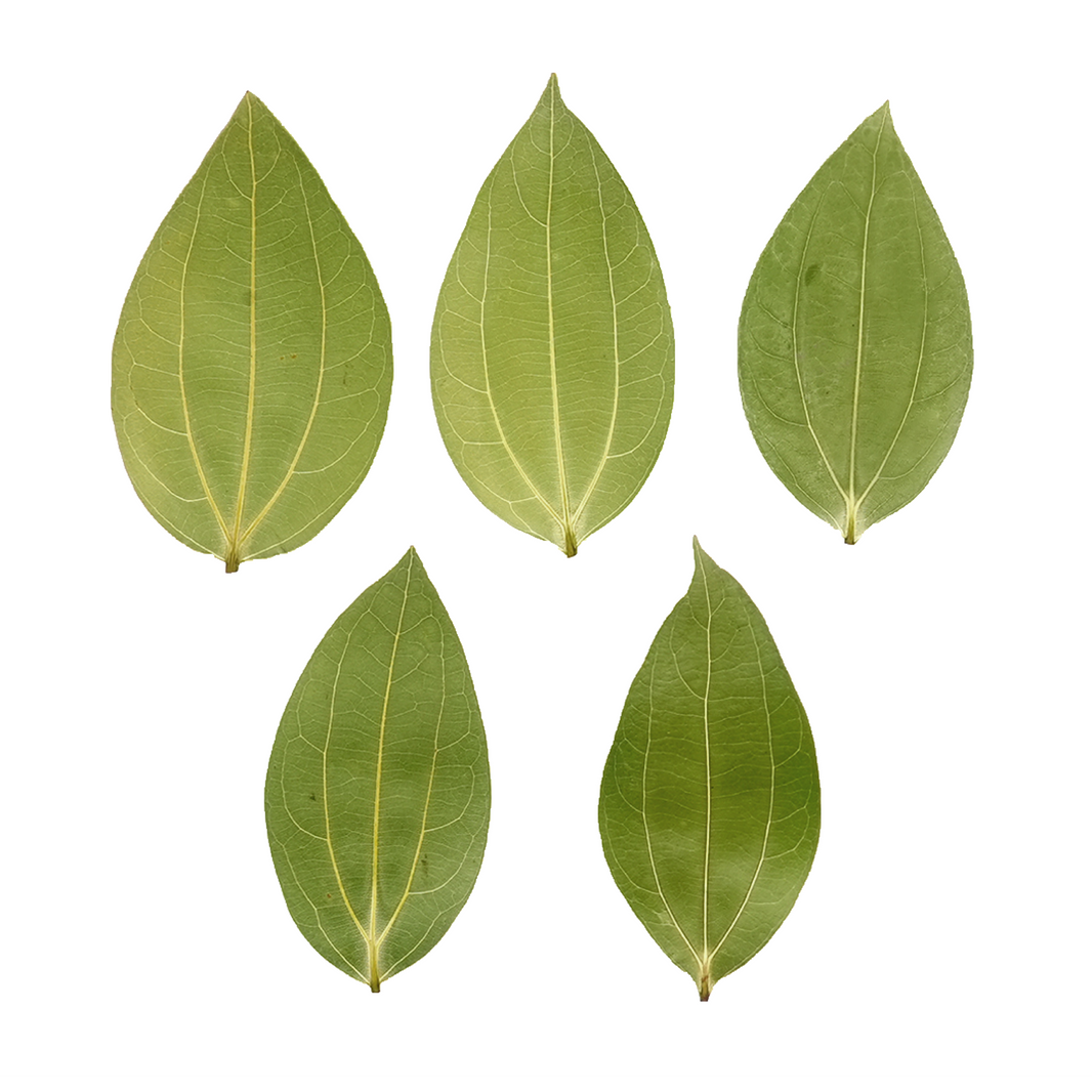 laser engraved cinnamon leaf blank rustic christmas ornament diy craft supplies for laser cutter and engravers.