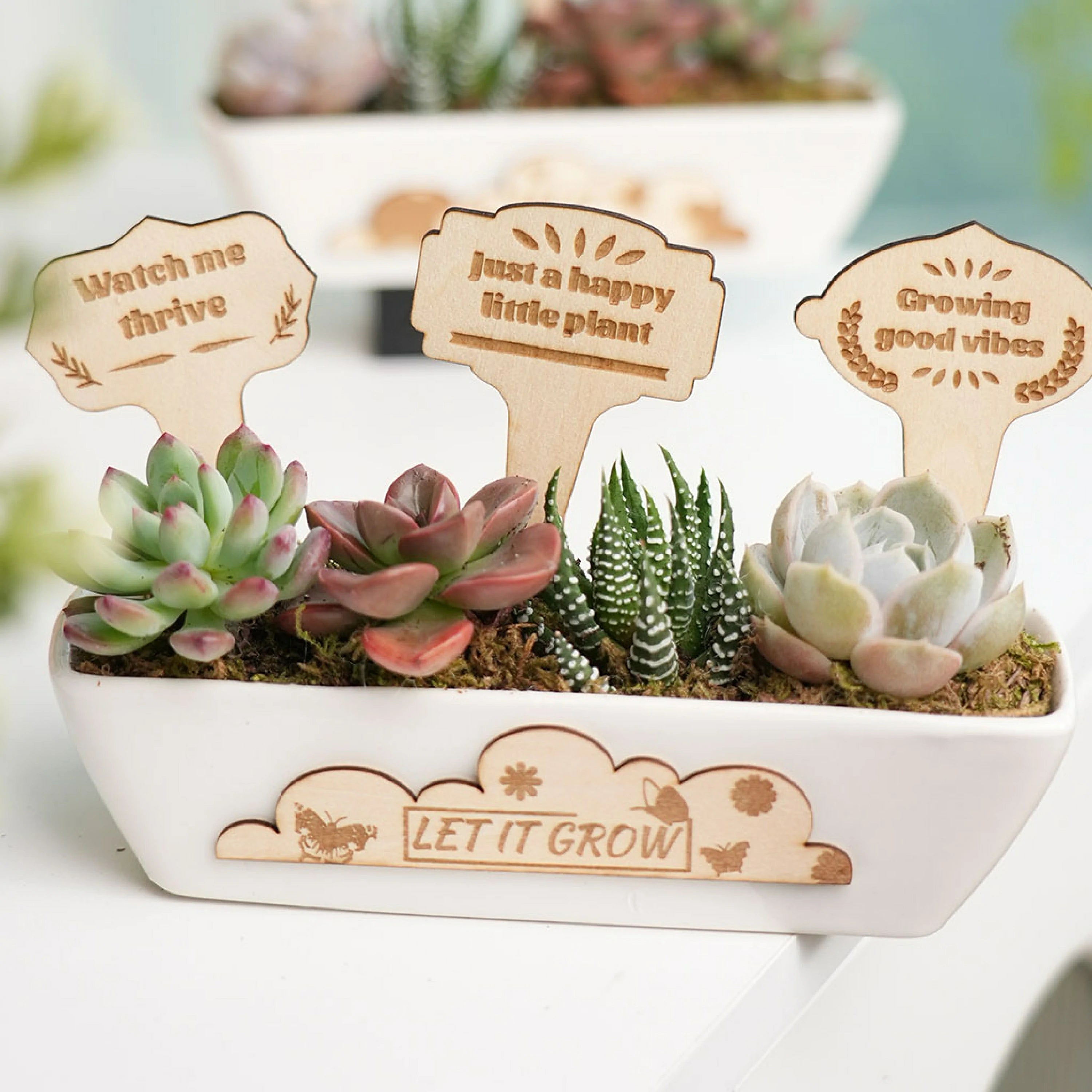 Styled lifestyle photo showcasing laser-engraved wooden plant markers as decorative accessories for a succulent planter, with phrases like "Watch me thrive", "Just a happy little plant", "Growing good vibes", and "LET IT GROW" engraved on them, demonstrating the creative application of laser engraving wood blanks.